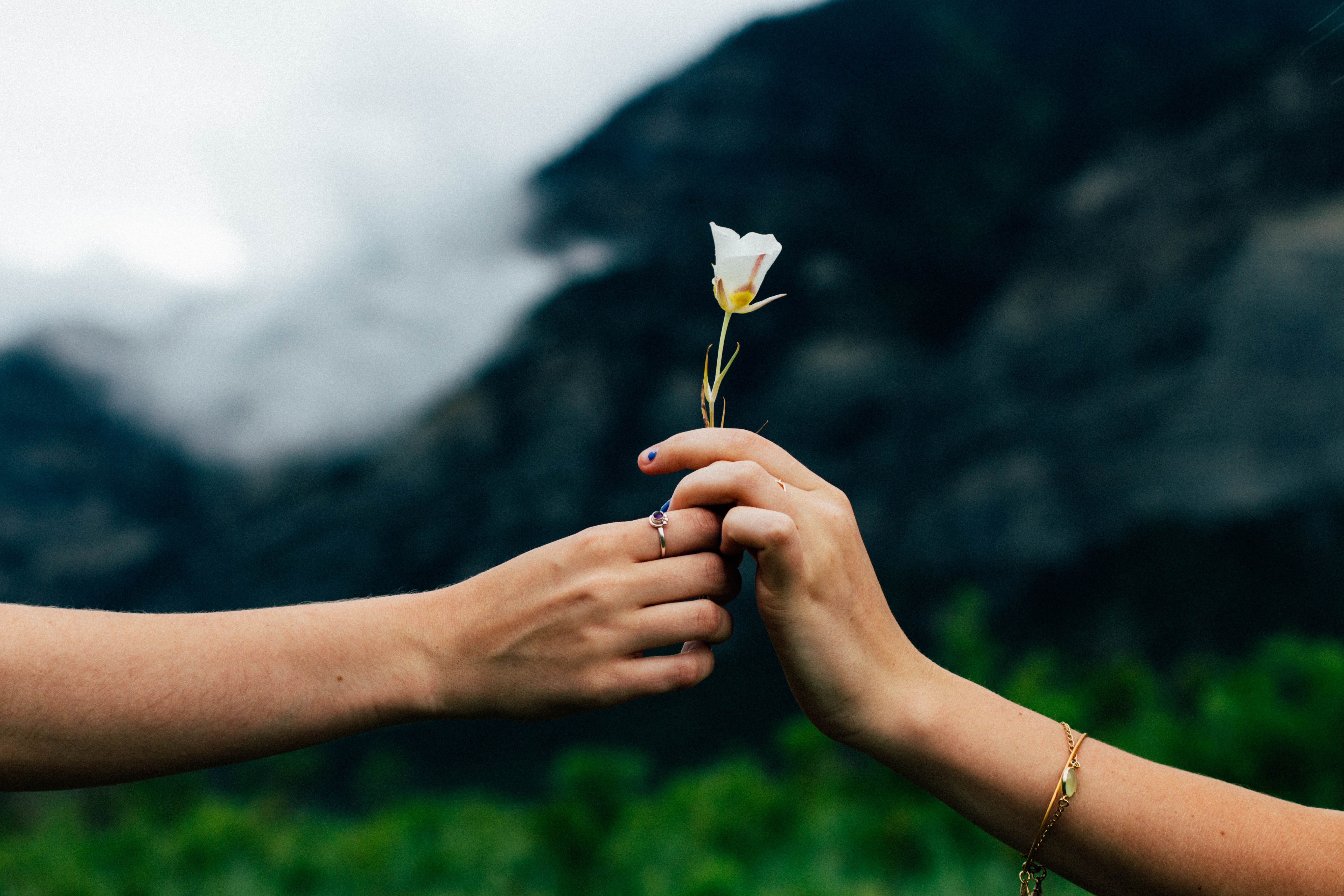 female hand handing a rosebud to another female hand